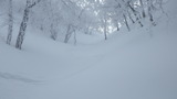 氷ノ山 命水 → 仙谷 山スキー IMGP1924