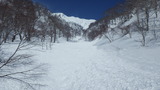 大山 振子沢 山スキー IMGP1943