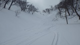 大山 振子沢 山スキー IMGP1960
