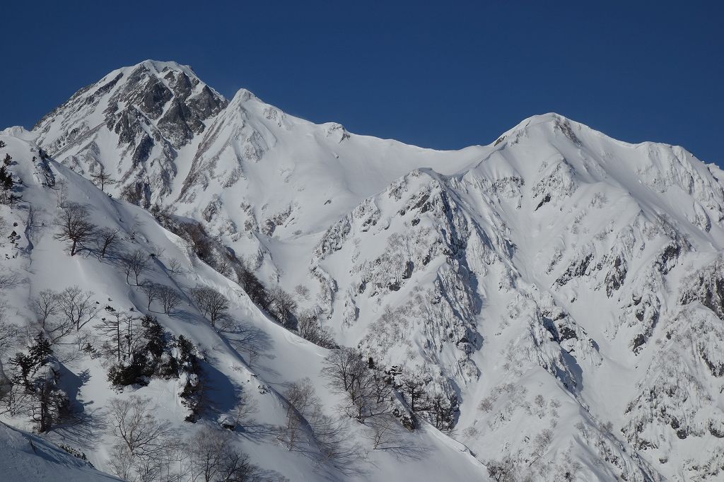 白岳。遠見尾根から望む。右側のピークが白岳。左側は五竜岳。白岳 白岳沢 スキー滑降 バックカントリー