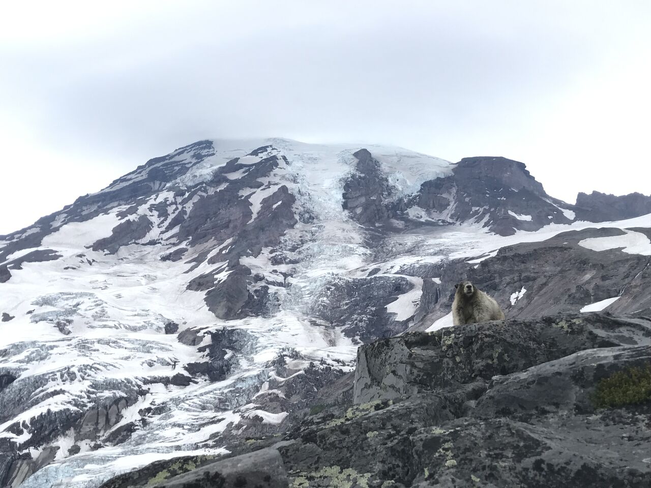 Mt. Rainier Disappointment Cleaver 登山 04747D1A-5651-4F75-A91D-CC04153ABFF8