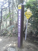 高雄山 トレイルランニング NEC_0011