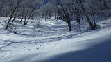 氷ノ山 仙谷山 山スキー IMGP1849
