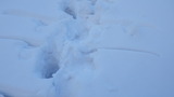 氷ノ山 仙谷山 山スキー IMGP1861