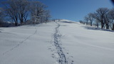 氷ノ山 仙谷山 山スキー IMGP1817