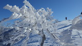 氷ノ山 仙谷山 山スキー IMGP1820