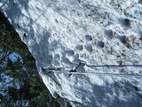 空木岳 残雪期登山 DSCF1060